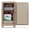 Mesa 2 Hour FireProof Safe MFS100C/MFS100E